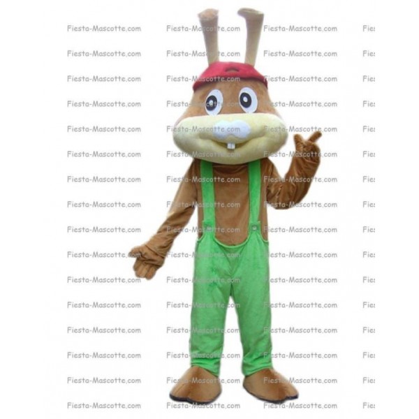 Buy cheap Fourmies mascot costume.