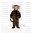 Buy cheap Paddington bear mascot costume.