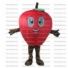 Buy cheap Apple mascot costume.