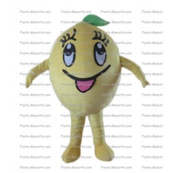 Buy cheap sponge bob mascot costume.