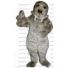 Buy cheap Wolf mascot costume.