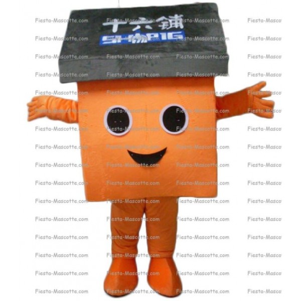 Buy cheap House mascot costume.