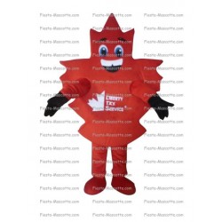 Buy cheap Maple Leaf mascot costume.