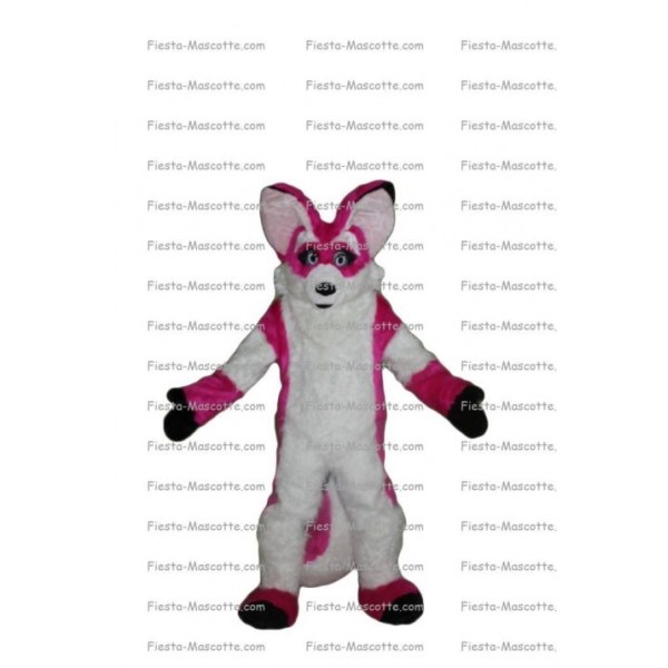 Buy cheap Fox mascot costume.