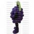 Buy cheap Grape mascot costume.