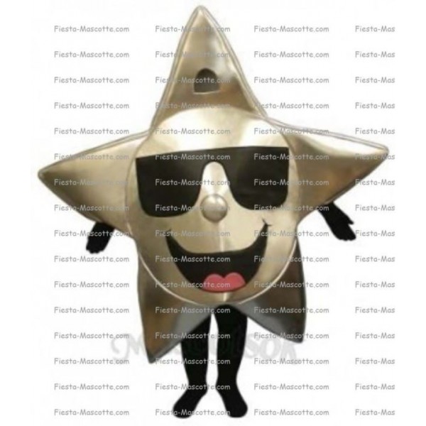 Buy cheap Star mascot costume.